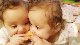 Funny Naughty Baby Twins Fight Over - Fun and Cute