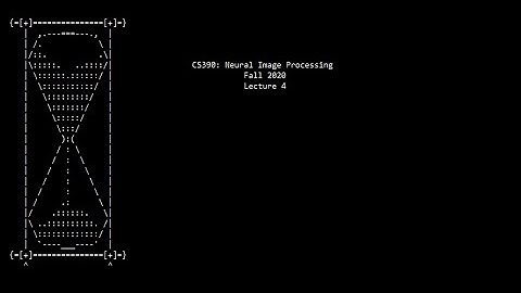 Neural Image Processing: Lecture 4 (Fall 2020)