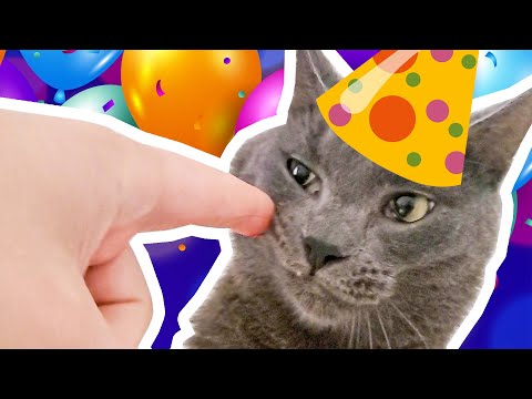 Video: När är Artyoms Födelsedag