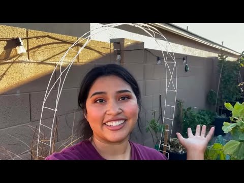 How I Make Arched Garden Trellises For Under $6 For Climbing Plants