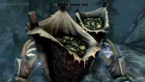 The Elder Scrolls V: Skyrim Let