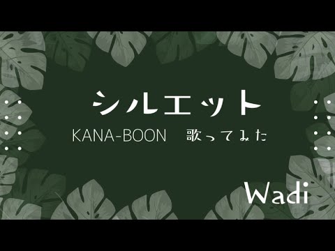 シルエット(KANA-BOON)を歌ってみました。