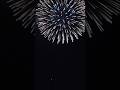 StrangerThings #aesthetic #fireworks #sky #new #newsong #epicmoments #funny #flowers #insta #shorts