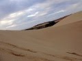 Flight, white dunes