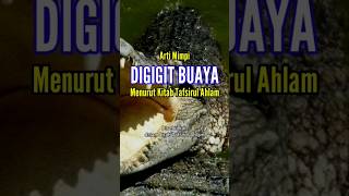 Arti Mimpi DIGIGIT BUAYA #tafsirmimpi #artimimpi #penafsiranmimpi #mimpididigitbuaya #shorts