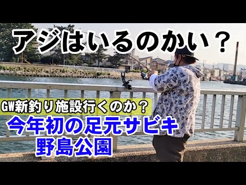 【釣果速報】横浜金沢八景サビキ釣り！そろそろいるかな？ マジでミラクル起きた 野島公園アジ