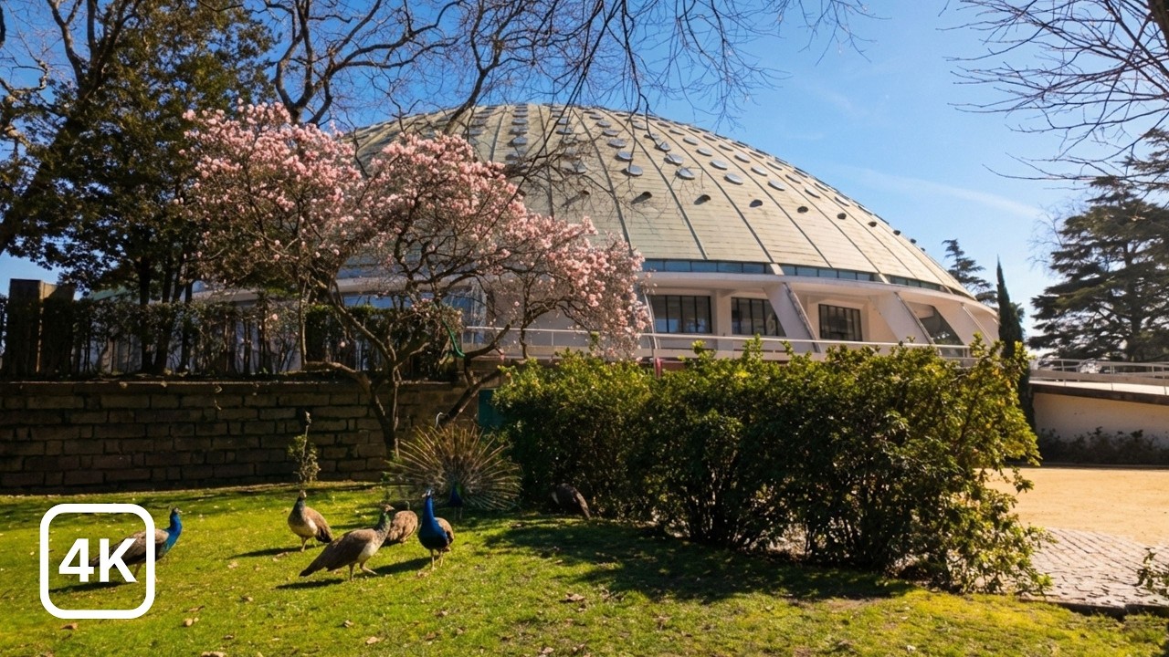 Park Walk with Peacocks 🦚🌸 | Porto 4K Walking Tour (with Captions)