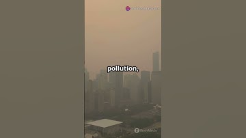 "What is a PIL & How to File One: Quick Guide! 📑⚖️" #facts #lawyer #law