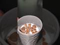 morning milk #shorts #shortvideo #shortfeed #trending
