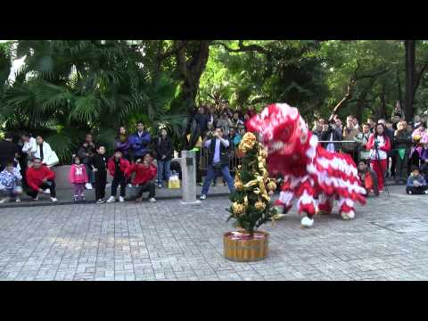 Lejondans i Hong Kong