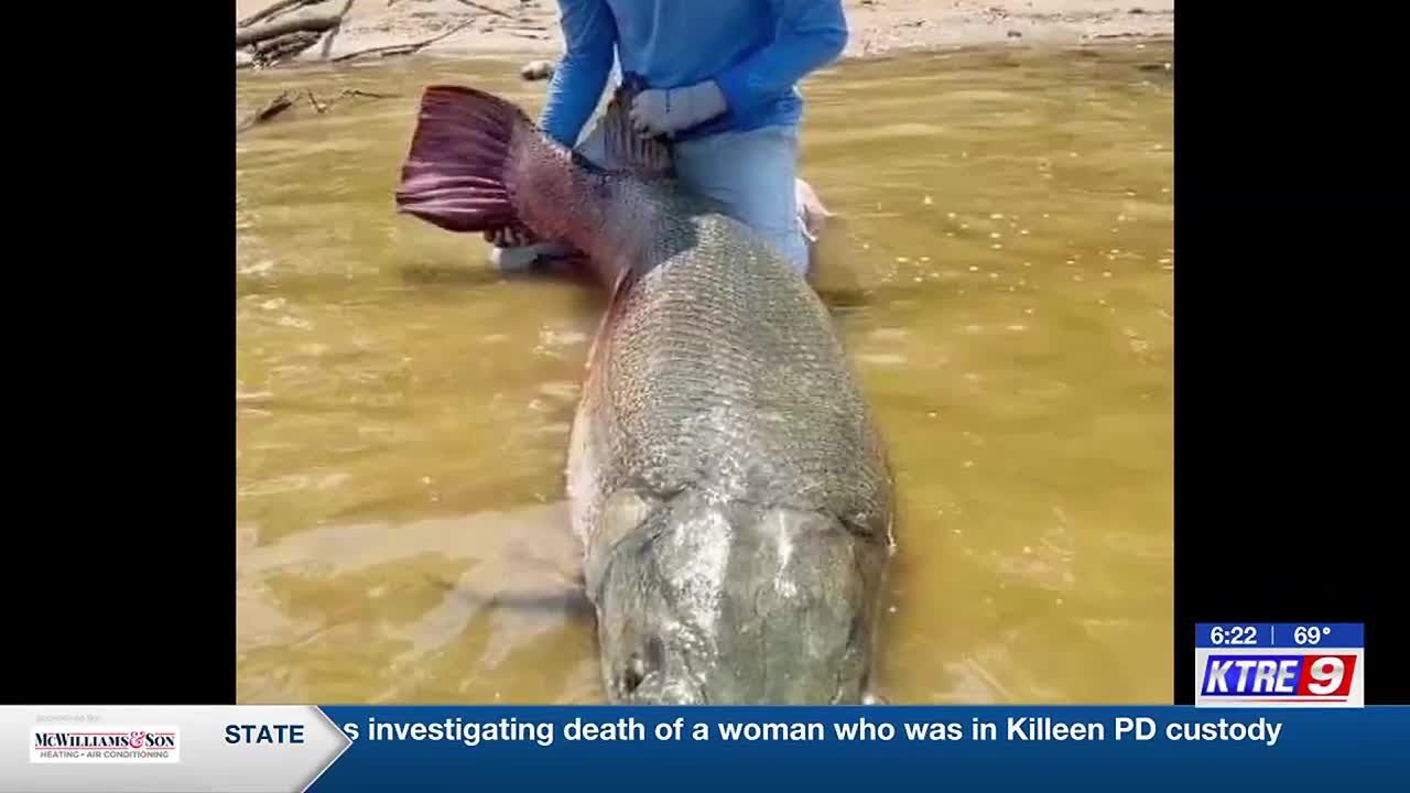 Record-breaking 283-pound alligator gar caught at Sam Rayburn Reservoir 