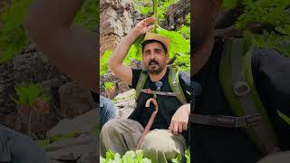 Bêşabab - Gundê Hemkan Îşev Saat 19:00 An Li Ser Youtubê Ye Ğa
