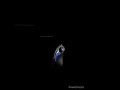 Other Profusions Of Suns Full Album 