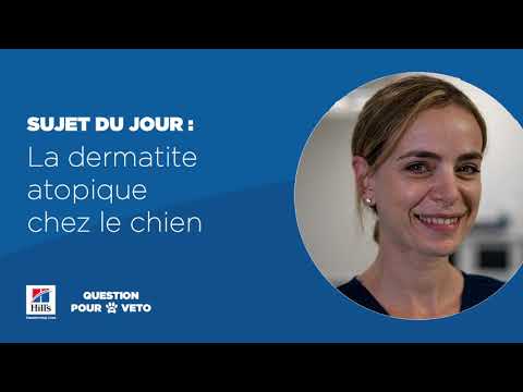 Vidéo: Comment Traiter La Dermatite Chez Le Chien