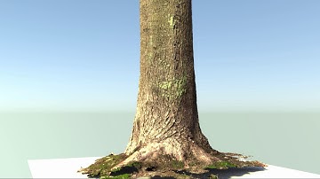 Blender 3D - Tree trunk photogrammetry (Photo Scanning)