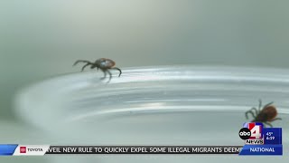 Prep your yard for a tick-free summer