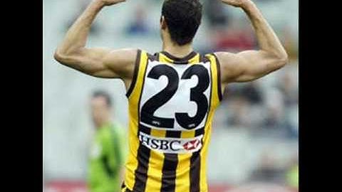 top ten 2008 afl brownlow medal count