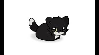 Maxwell Cat