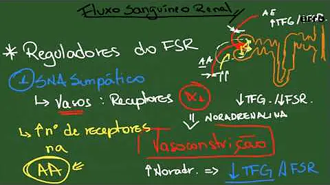 Qual é o volume de sangue filtrado por dia?