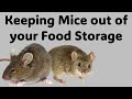 Keeping mice out of your food storage