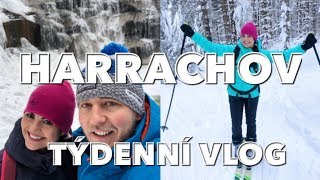 Týdenní VLOG Harrachov │Co jsme jedli a dělali