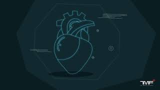 Cardiology introduction for 2nd stage,Wasit Medical school by Dr.Ahmed Basheer. Heart Basics قلبية