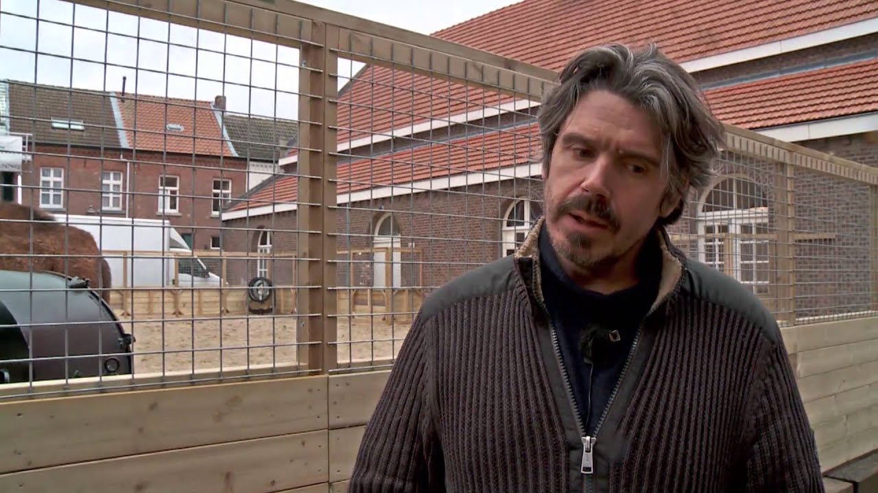 Koen Vanmechelen - This Is Not a Chicken