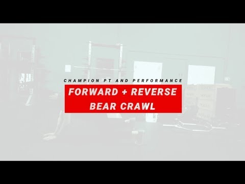 Forward + Reverse Bear Crawl