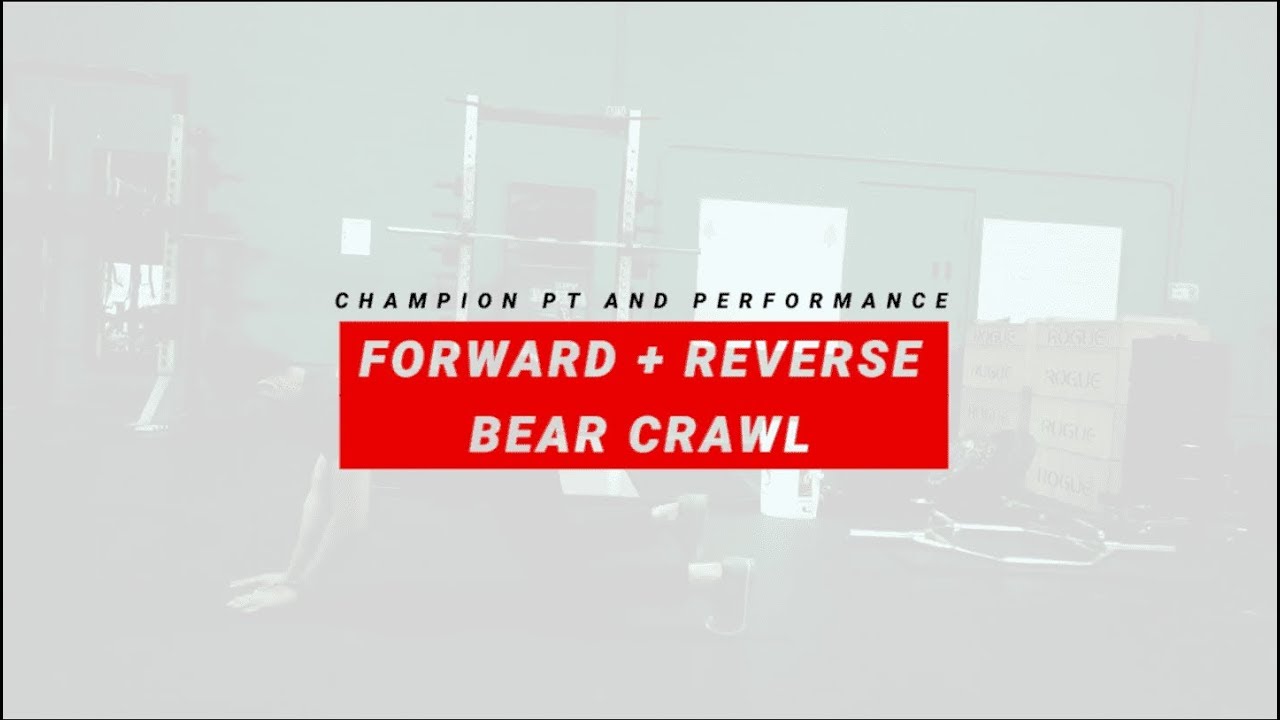 Forward + Reverse Bear Crawl