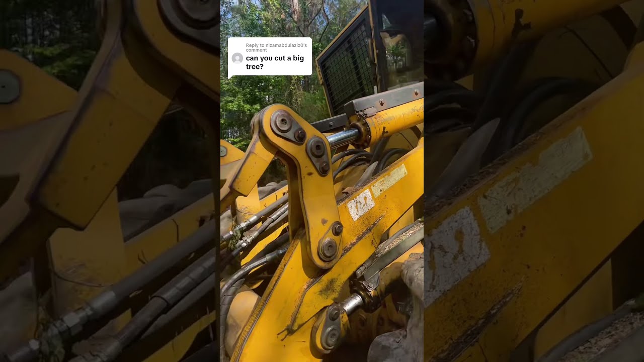 This Saw Will Cut BIG Trees Watch It Tear Through Timber 