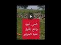 عمي تبون راجع يقول تحيا الجزاير تبون المغرب الجزائر 