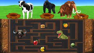 Underground Maze Challenge with Cow Elephant Buffalo Gorilla Plays Escape Room Challenge