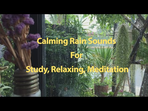 RAIN Sound for Sleeping BLACK SCREEN - Sleep and Relaxation - Dark Screen With Nature Sounds