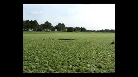 3d Laser Scanning - Architectural Analysis - GOLDEN BEAR GOLF COURSE - ( Allen & Company )