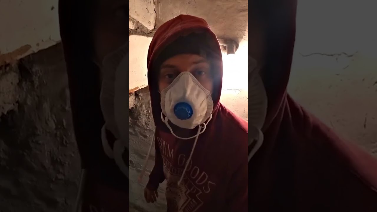 We Turned Our Basement into a Real Swimming Pool!