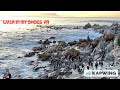 Penguins at Sunrise- South Africa VR180