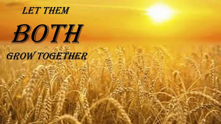 TCV Everywhere! | Let Them Both Grow | Pastor Rodn...