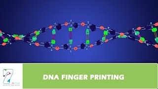 DNA FINGER PRINTING