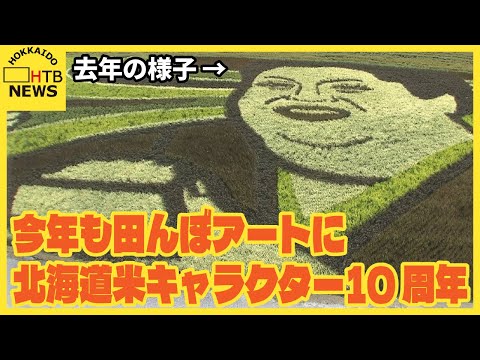 マツコ・デラックスが今年も田んぼアートに　北海道米のイメージキャラクター10周年　見頃は8月上旬
