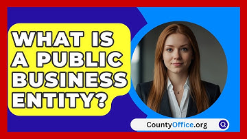 What Is A Public Business Entity? - CountyOffice.org