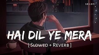 Hai Dil Ye Mera (Slowed + Reverb) | Arijit Singh | Hate Story 2 | SR Lofi