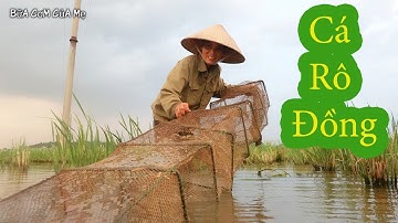 Bữa Cơm Đạm Bạc Với Món Cá Rô Đồng Rán Giòn Của Mẹ Xem Là Nhớ Nhà | Sau Góc Bếp Củi