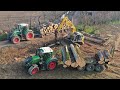 Taglio e cippatura piante  3x escavatori  fendt  john deere  xxl wood cutting
