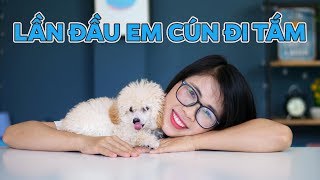 Phản Ứng Của Em Cún Mới Khi Lần Đầu Được Đi Tắm