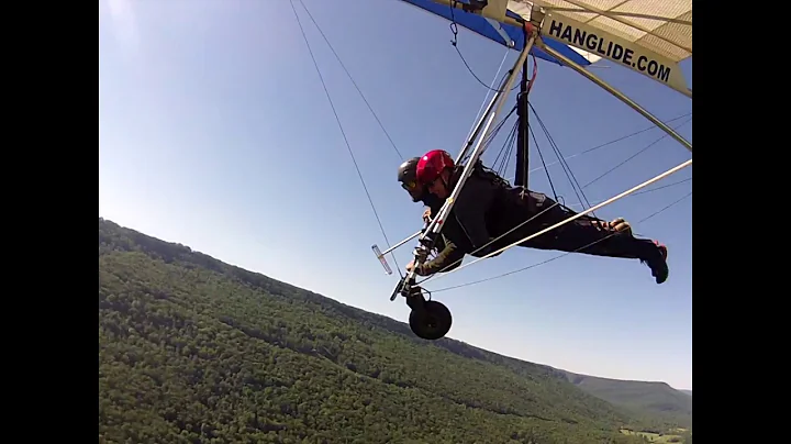 Carla Waldron's Flight