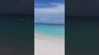 Bikinis On Our Maldives Trip ... Biggini Shoot Reel Bikini Swimwear