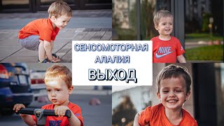 видео: СЕНСОМОТРНАЯ АЛАЛИЯ -ВЫХОД ЕСТЬ ! ? |ДЕТСКИЙ САД ДЛЯ АЛАЛИКА | ПРОГНОЗЫ НА БУДУЩЕЕ НЕУТЕШИТЕЛЬНЫ !?| картинка: СЕНСОМОТРНАЯ АЛАЛИЯ -ВЫХОД ЕСТЬ ! ? |ДЕТСКИЙ САД ДЛЯ АЛАЛИКА | ПРОГНОЗЫ НА БУДУЩЕЕ НЕУТЕШИТЕЛЬНЫ !?|