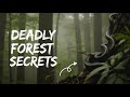 The Forests of Earth Are Hiding Some Deadly Secrets