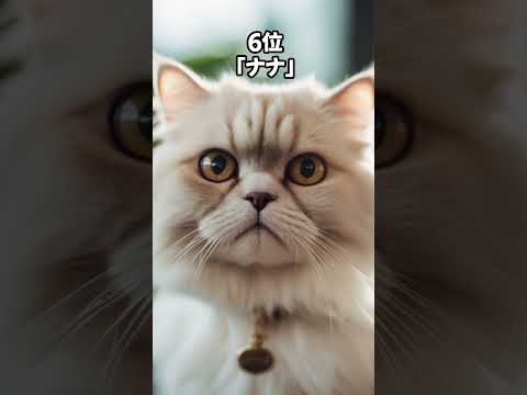 【人気の猫】ペルシャ猫に多い名前10 #shorts