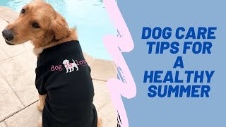 Dog Care Tips for a Healthy Summer by iamdogsmart 59 views 2 years ago 2 minutes, 48 seconds